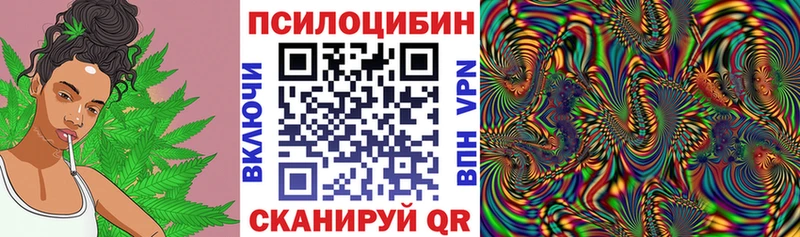 как найти наркотики  блэк спрут сайт  маркетплейс клад  Углич  Псилоцибиновые грибы Psilocybe 